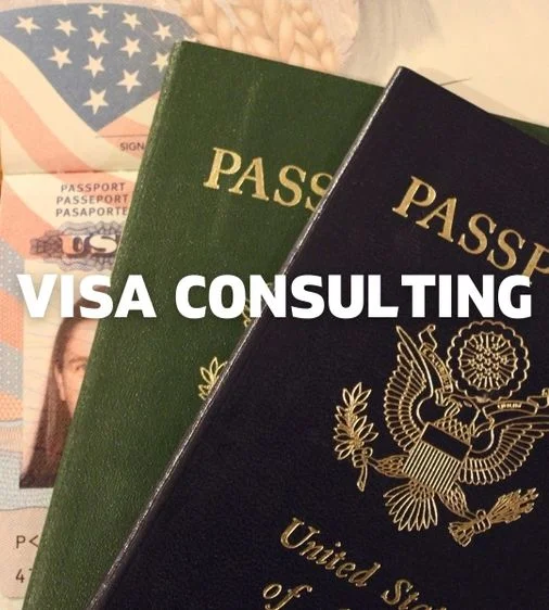 Visa Consulting