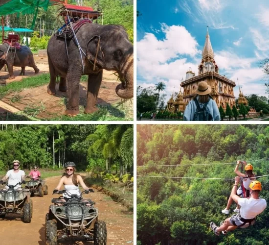 Phuket City Tour (Zipline , Elephant Trekking , ATV , Big Buddha , Chalong Temple , Honey farm , Phuket Old Town)