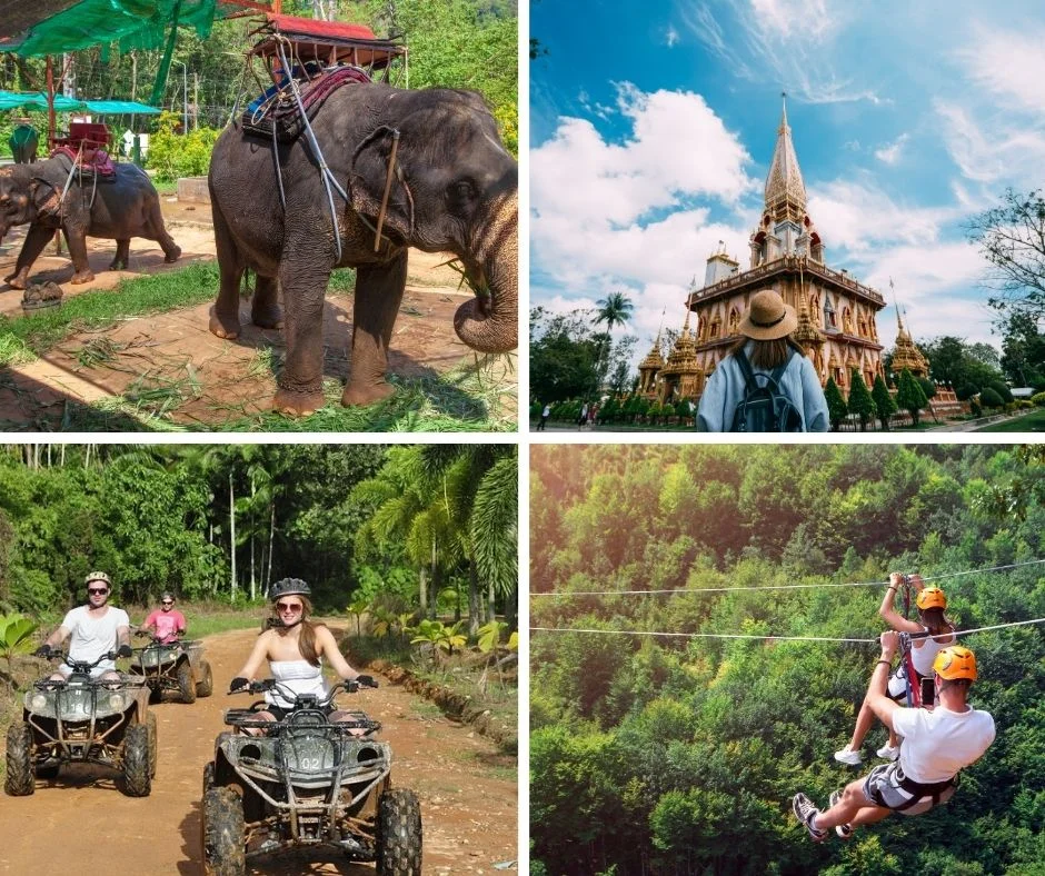 Phuket City Tour (Zipline , Elephant Trekking , ATV , Big Buddha , Chalong Temple , Honey farm , Phuket Old Town)