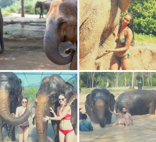 Elephant Sanctuary Park Phuket