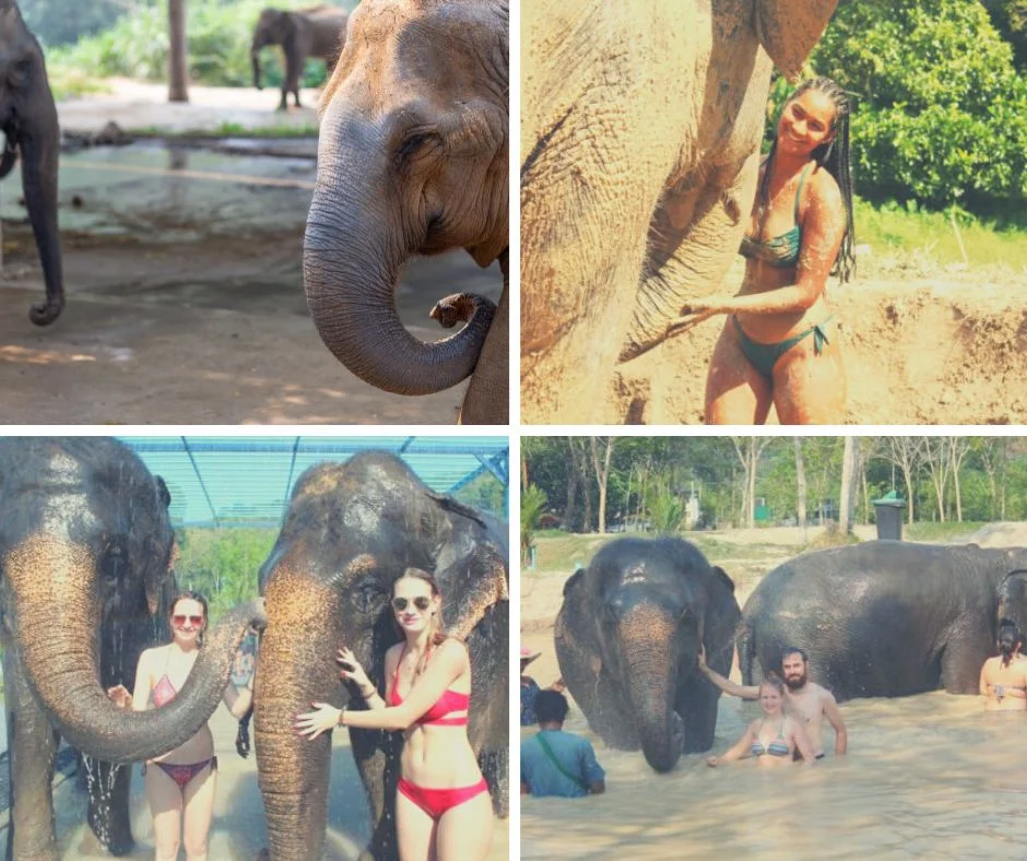 Elephant Sanctuary Park Phuket