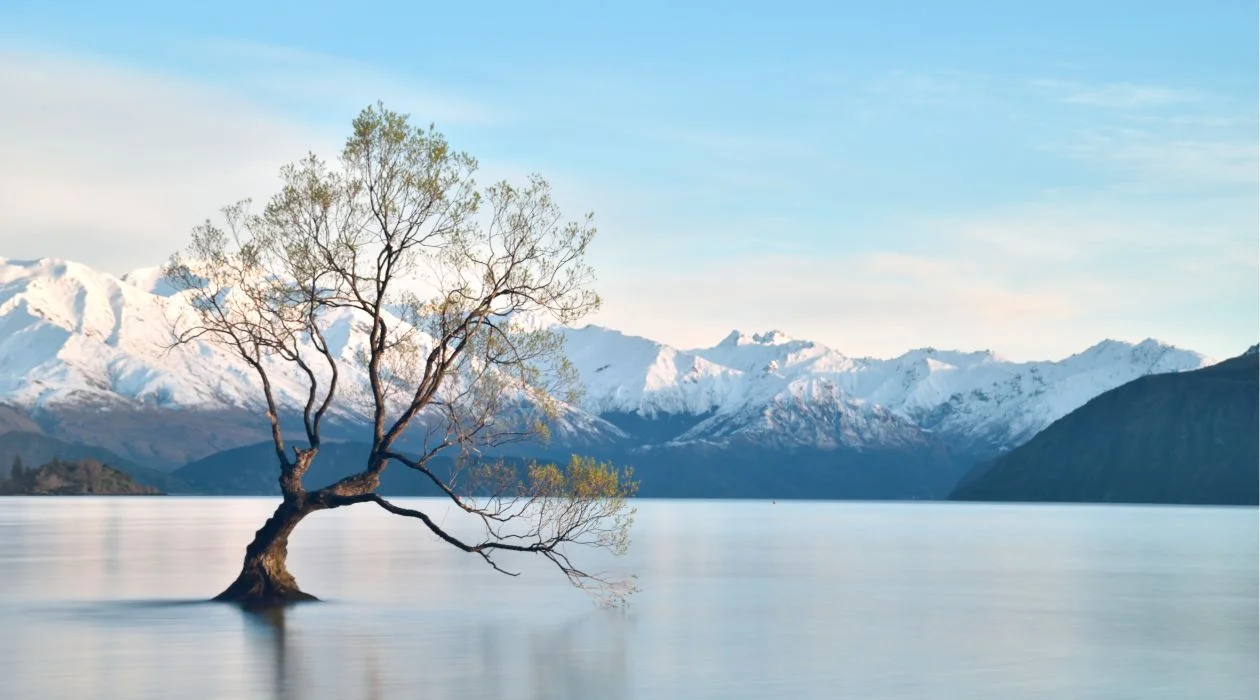 10 Places tourists shouldn’t miss in New Zealand