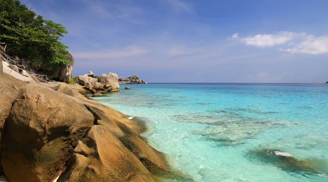 Things to know before traveling to Similan Island. What interesting activities are there?