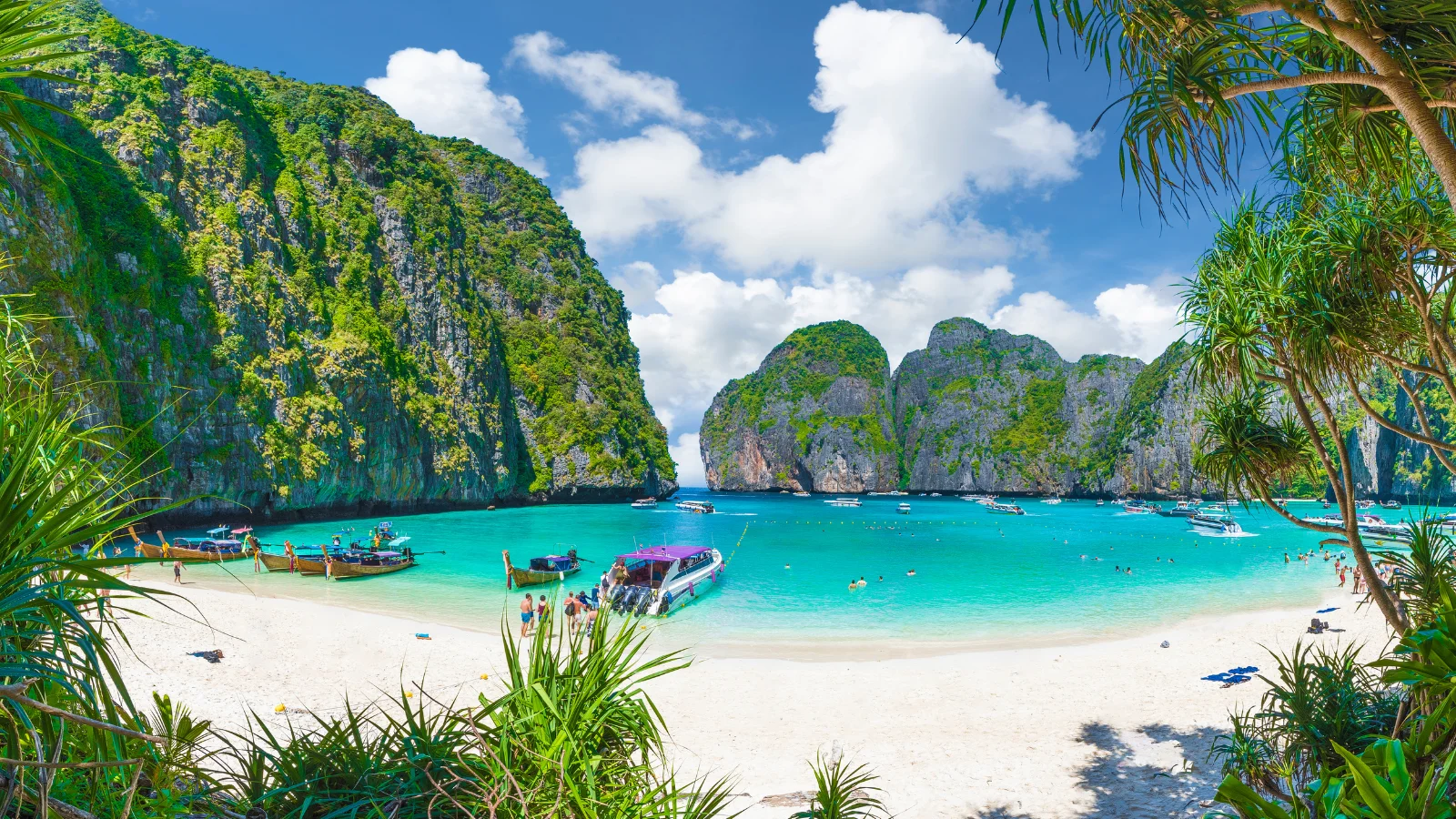 Full Day Trip Phi Phi Island Maya Bay Khai Island by speedboat