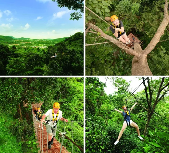 Phuket Jungle Ziplines Eco-Adventures